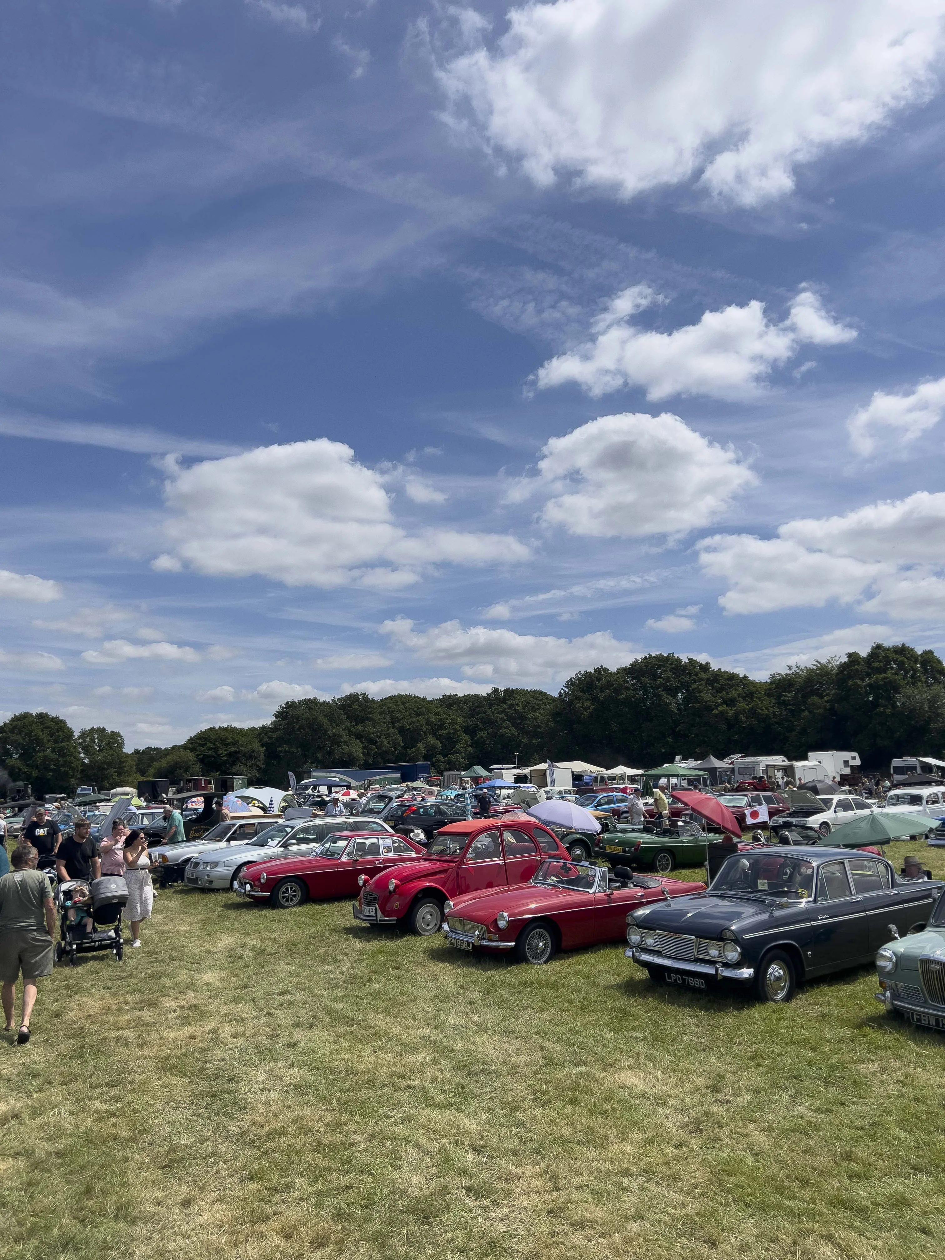 An overview of the classic cars on show