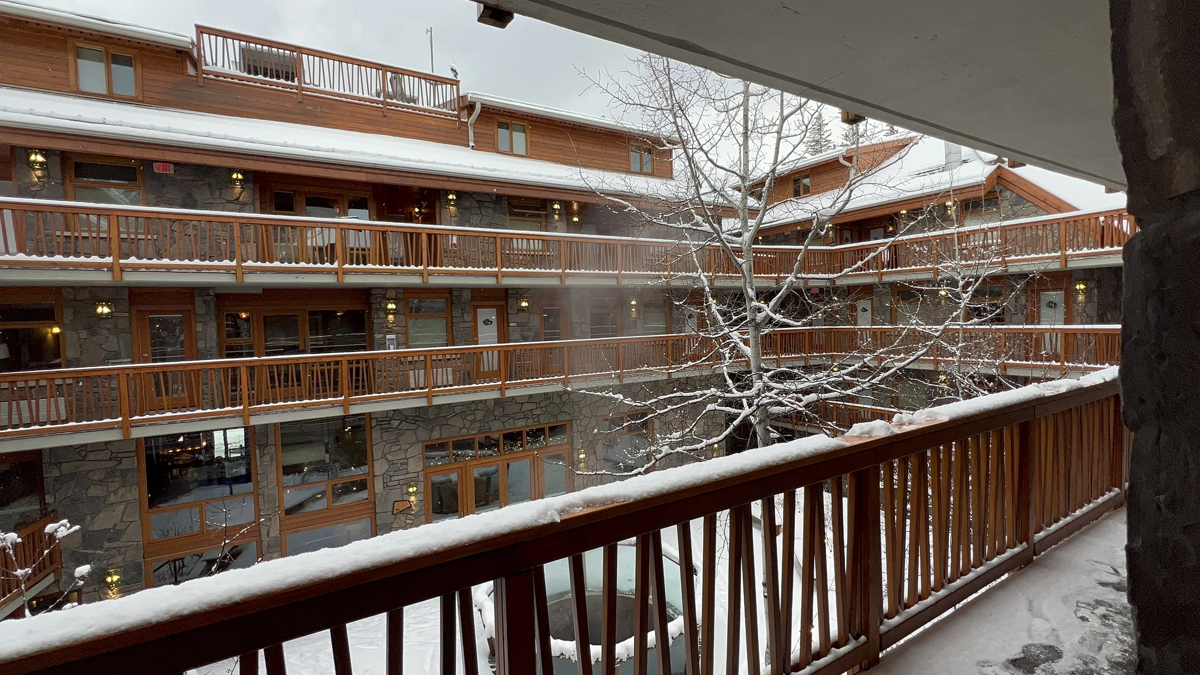 A calming sunset glistening through the trees highlighting a steam engine