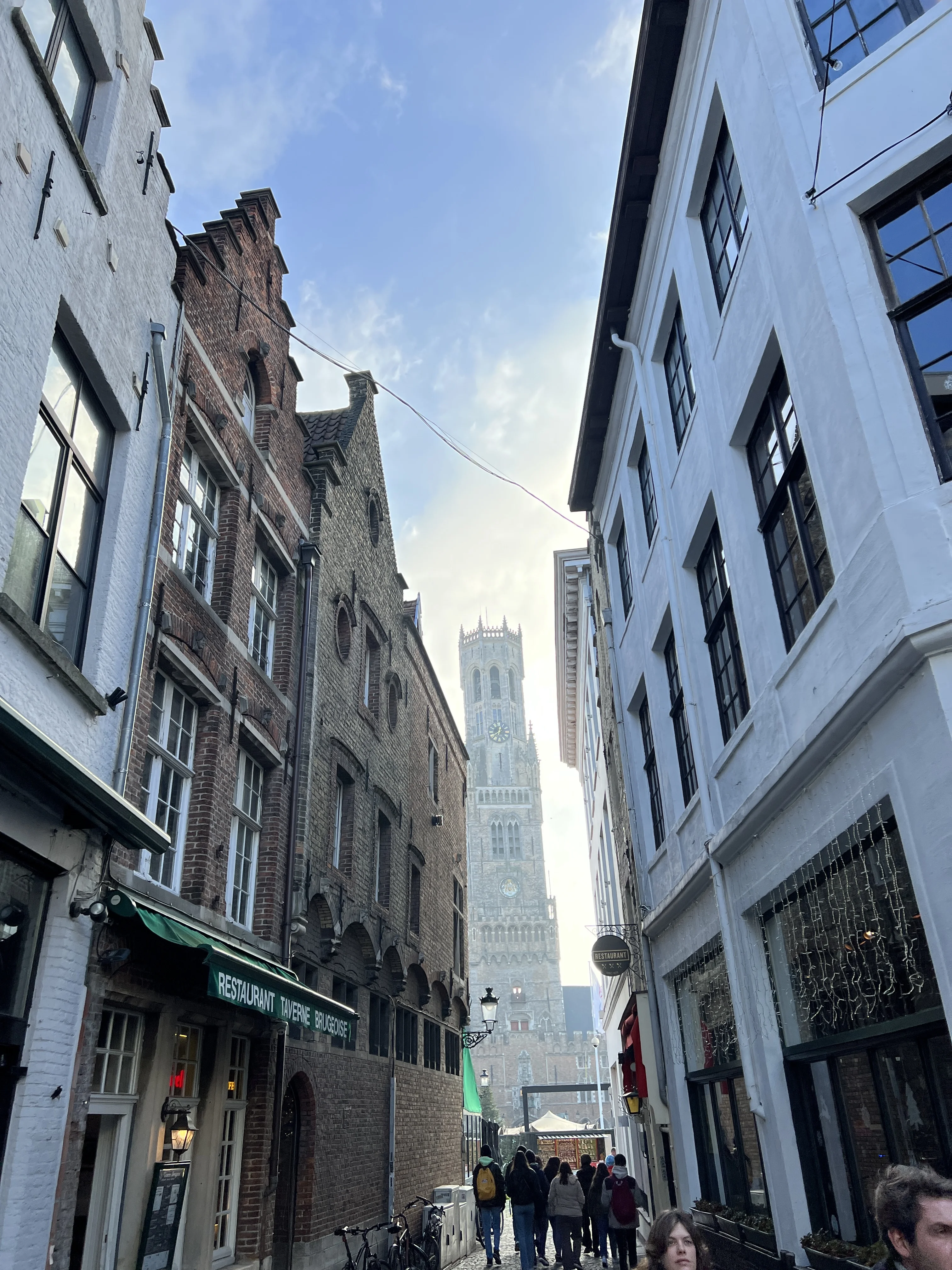 Historic Bruges buildings and winter canals