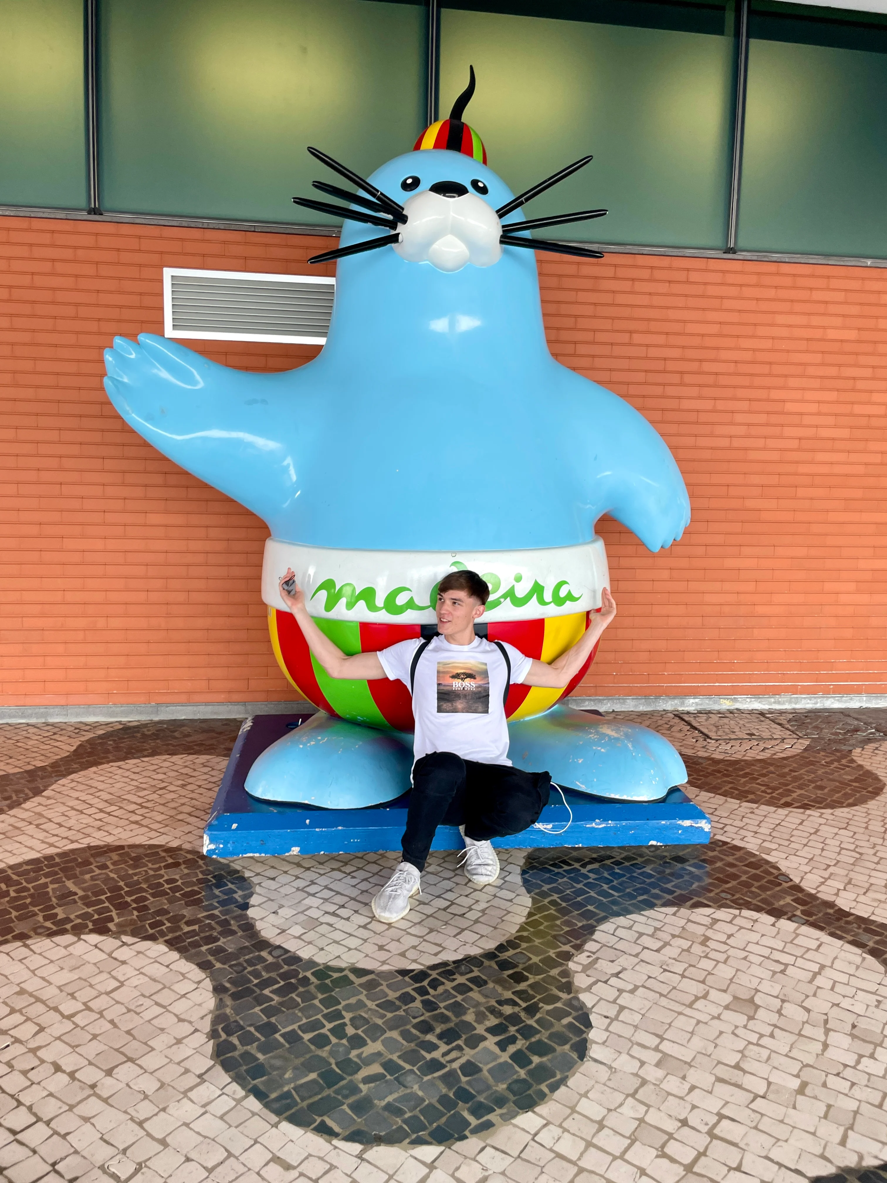 Penguin statue in Madeira