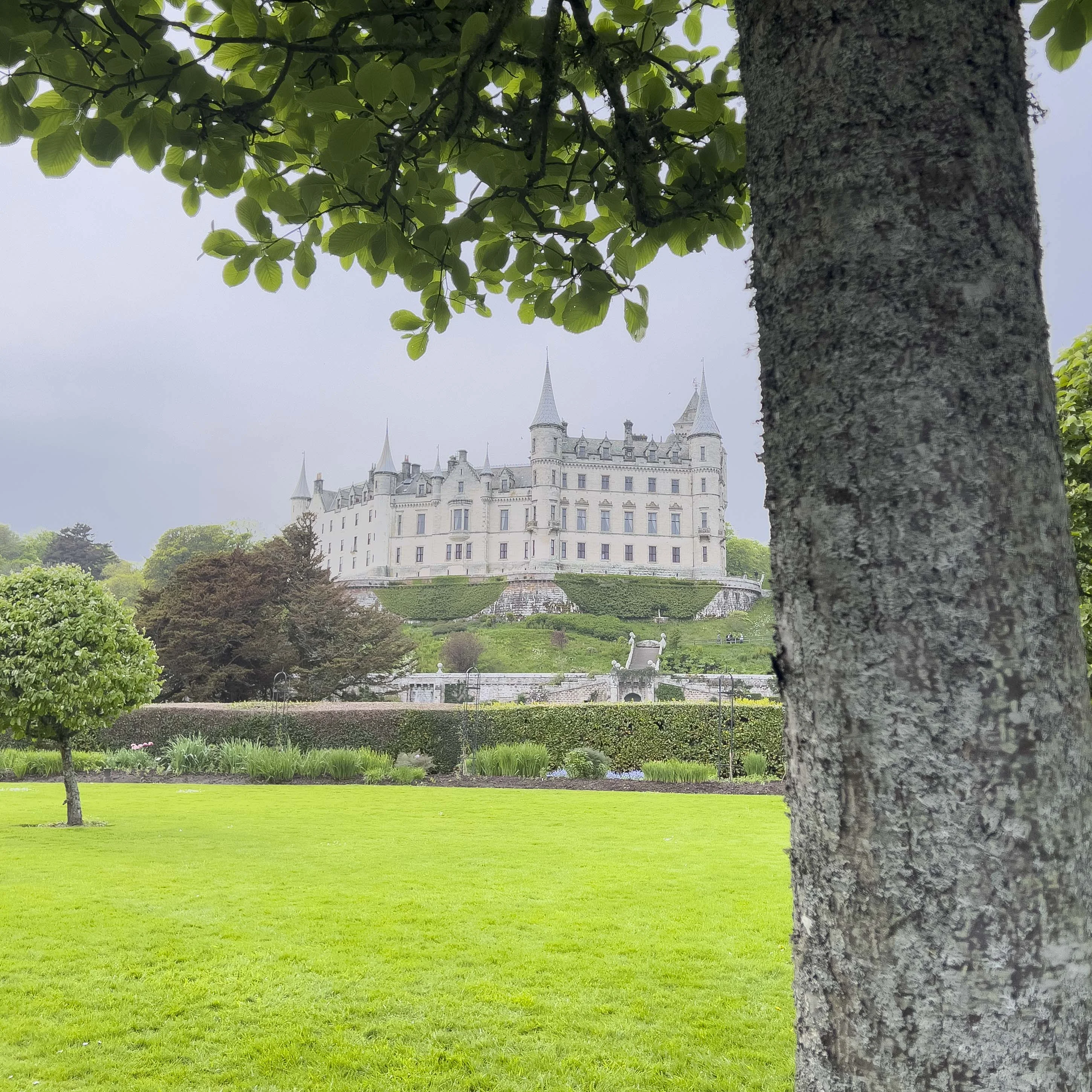 Garden view looking back towards Dunrobin Castle